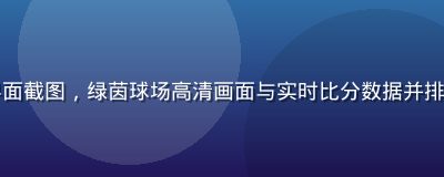 开云体育体育赛事实时直播界面截图，绿茵球场高清画面与实时比分数据并排显示，专业赛事数据覆盖全面