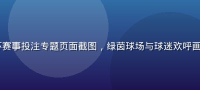 2026年欧洲杯赛事投注专题页面截图，绿茵球场与球迷欢呼画面，热烈赛事氛围